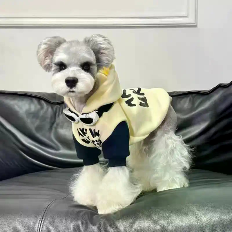 Quần Áo Thú Cưng Khâu Áo Cotton Dày Ấm Áp Teddy Bichon Chó Mùa Thu Đông Áo Khoác
