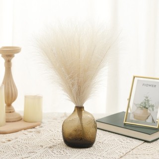 Cỏ Lau Giả Trang Trí Nhà Cửa Decor Phòng Ngủ Hoa Nhân Tạo Đẹp Cao Cấp Phong Cách Boho Vintage Hiện Đại Phụ Kiện Chụp Ảnh Bình Để Bàn 10 Cành Bộ Lông Vũ Mềm Mại Nhiều Màu Sắc Sang Trọng Cưới Studio Homestay Căn Hộ Ban Công Lối Vào Tiệm Cà Phê Đám