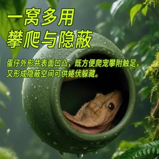 Nơi ẩn náu cốc hút hình quả trứng bò sát – Trang trí ẩn náu & Terrarium tạo độ ẩm (Thích hợp cho tắc kè, tắc kè da báo, ếch cây trắng)