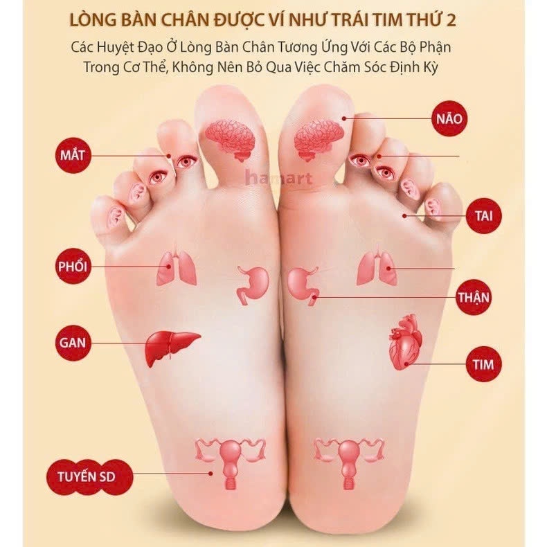 Miếng Dán Thải Độc Chân Ngải Cứu AICAO JING Giúp Ngủ Ngon Thư Giãn Giảm Nhức Mỏi Cực Hiệu Quả