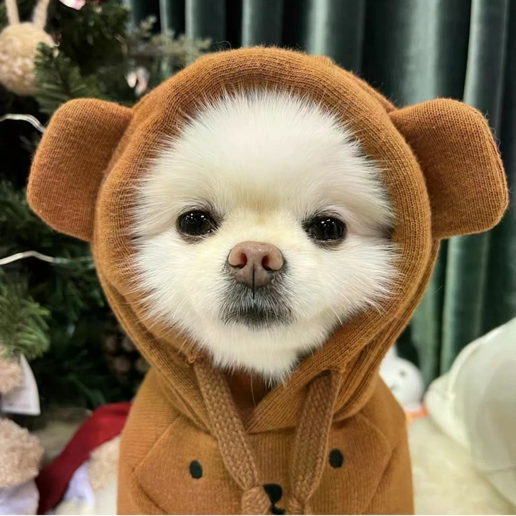 Quần Áo Cho Chó Mùa Thu Đông Lông Cừu-Fleece Tai Quần Áo Chống Lạnh Giữ Ấm T