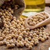 1kg Đậu Nành, Đậu Tương Thuần Chủng thu hoạch trực tiếp nông dân - Không chất bảo quản