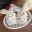 PlumHOUSE Hoạt Hình Sang Trọng Búp Bê Móc Khóa Ngọt Ngào Dễ Thương Túi Mặt Dây Chuyền Trang Trí Móc Khóa Ô Tô Cho Nữ Cặp Đôi Quà Tặng VN