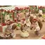 Sylvanian Families Doll 【 Squirrel Family – Squirrel Girl 】 R-34 ST Mark Certified For ages 3 and up Toy Dollhouse Sylvanian Families Epoch Corporation EPOCH