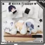 Anime Arknights Onigiri Sang Trọng Móc Khóa Dễ Thương Cơm Bóng Nhồi Bông Túi Búp Bê Quyến Rũ Mặt Dây Chuyền Đồ Chơi Mềm Cho Người Hâm Mộ