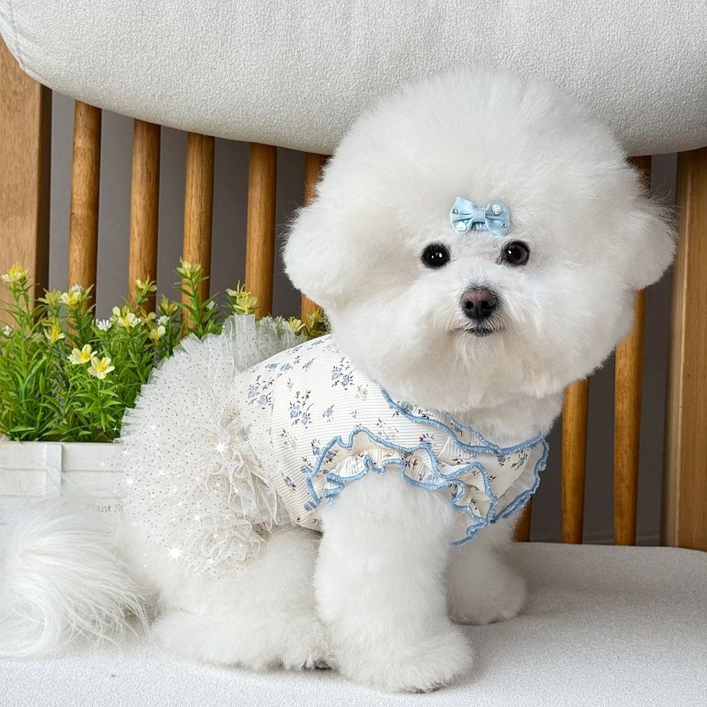 Mùa Hè Thú Cưng Quần Áo Chó In Hình Nhà Quần Áo Mỏng Băng Lụa Phù Hợp Với Teddy Bichon Mèo Quần Áo