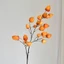 CATIYAHA Đèn Lồng Nhân Tạo Hoa Quả Bó Hoa, Mô Phỏng Trang Trí Hoa Đèn Lồng Nhân Tạo, Nhánh Dài 60cm Nhựa Giả Hoa Trang Trí Đám Cưới