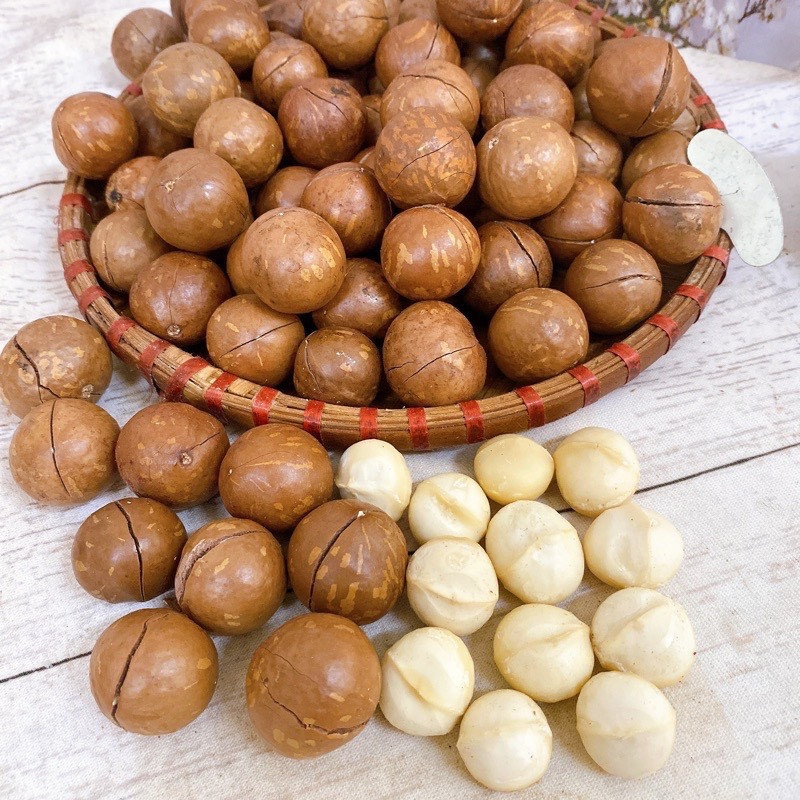 500Grm Mắc Ca Nứt Vỏ Đak Lak Size Bi - Mới, Giòn, Ngon, Date mới