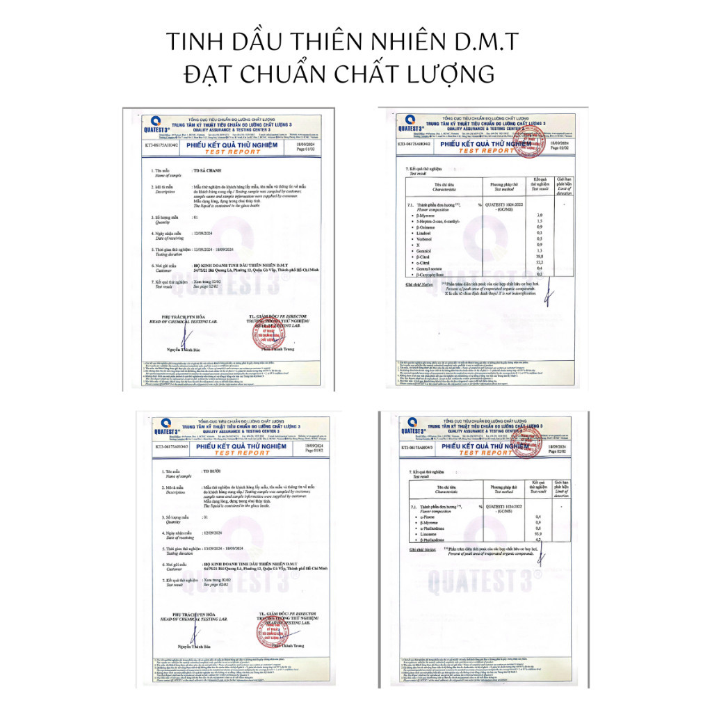 Combo 3 chai tinh dầu treo được ưa chuộng nhất DMT, tinh dầu treo sả chanh, Bưởi ấn, Quýt ấn khử mùi