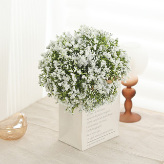 Bó Hoa Baby Giả 12 Cành Gypsophila Bi Nhân Tạo Decor Trang Trí Nhà Cửa Phòng Khách Đám Cưới Tiệc Tùng Phụ Kiện Chụp Ảnh Vintage Cao Cấp Để Bàn Đẹp Tự Nhiên Nhựa Lụa Quà Tặng DIY Sang Trọng Sắp Xếp Bình Thẩm Mỹ Hiện Đại Đa Năng