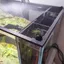Chống va đập bể cá NORDICLIFE, DIY Lắp đặt dễ dàng Nắp đậy bể cá, Bể cá rùa từ tính bền bỉ