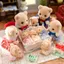Sylvanian Families Biscuit Bear Triplets Healthy Set FS-63 Ages 3 and Up Toy Dollhouse Epoch
