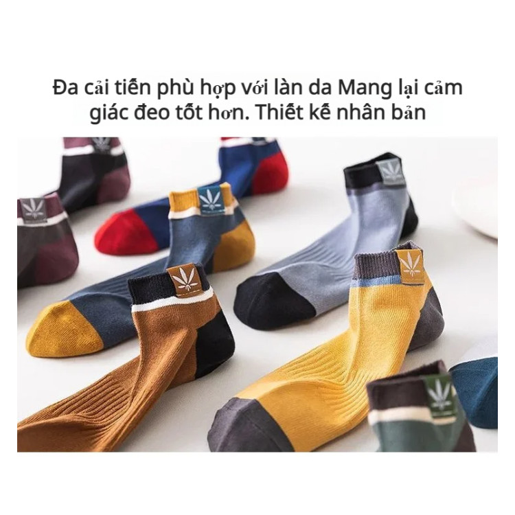 ⚡COD⚡Tất thể thao phong cách Nhật Bản dành cho học sinh/Tất ngắn nam / tất nam cổ ngắn cao cấp/tất cổ ngắn nam