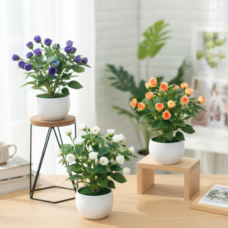 Chậu Hoa Hồng Giả Mini Trang Trí Để Bàn Cây Cảnh Decor Nhà Cửa Bông Lụa Cao Cấp Trưng Bày Văn Phòng Kệ Sách Đạo Cụ Chụp Ảnh Phong Cách Bắc Âu Hiện Đại Bonsai Nhỏ Màu Sắc Tươi Sáng Kèm Chậu Nhựa Trắng Bền Đẹp Xinh Xắn