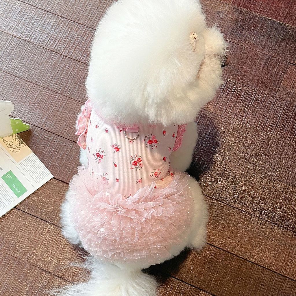 Mùa Hè Thú Cưng Quần Áo Chó In Hình Nhà Quần Áo Mỏng Băng Lụa Phù Hợp Với Teddy Bichon Mèo Quần Áo
