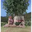 EPOCH Sylvanian Families Doll [Sheep Baby] Hi-07