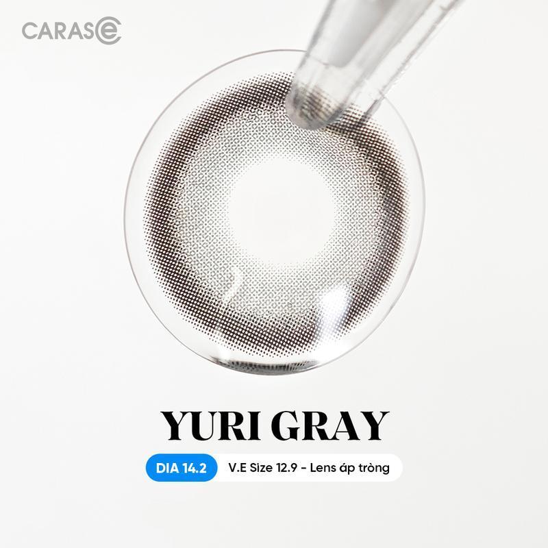 [1 chiếc] Kính áp tròng khoá ẩm 1 Ngày Màu Xám Xanh CARASE, Lens cận YURI GRAY