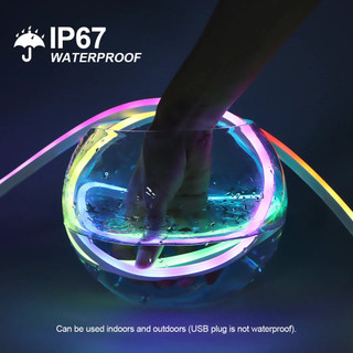 WS2812 RGBIC RGB LED Neon Dải đèn, 5V USB Chống Thấm Nước Bluetooth Diode Neon Băng Ruy Băng Có Điều Khiển Từ Xa Để Trang Trí Trần Phòng