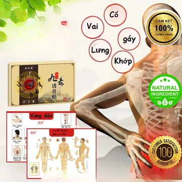 Miếng Dán Giảm Đau Cổ Vai Gáy, Thắt Lưng, Xương Khớp, Giảm Đau Nhanh, An Toàn Gan Thận –Hộp 8 Miếng [Z8]