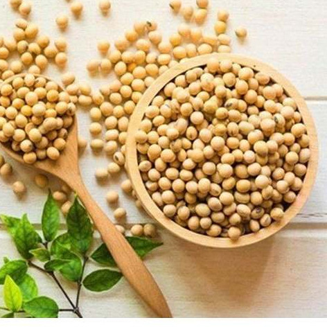 1kg Đậu Nành, Đậu Tương Thuần Chủng thu hoạch trực tiếp nông dân - Không chất bảo quản