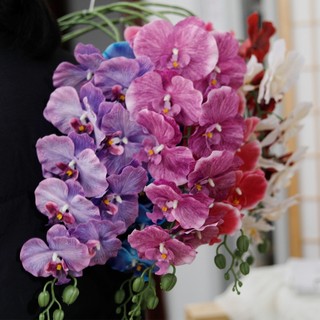 Hoa Lan Hồ Điệp Giả 3D Cao Cấp Cảm Ứng Thật 9 Đầu 98cm Trang Trí Nhà Cửa Phòng Khách Đám Cưới Sang Trọng Lớn Lụa Đẹp Thẩm Mỹ Phụ Kiện Chụp Ảnh Decor DIY Cắm Bình Nội Thất Studio Sự Kiện Backdrop Giống Thật Mềm Mại Bền Màu