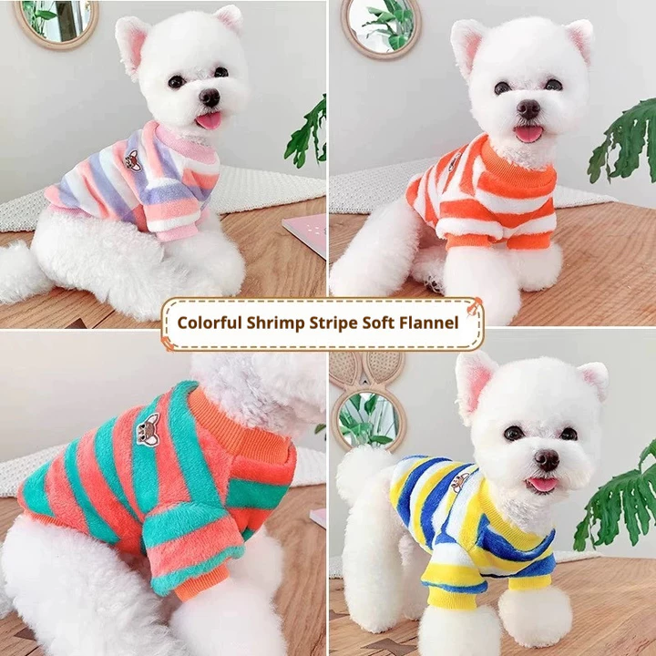 Quần Áo Thú Cưng Mùa Đông Ấm Thêu Chó Teddy Bichon Nhỏ Vừa Chó Chó Chó Mèo Quần Áo Đồ Cho Mèo Chihuahua