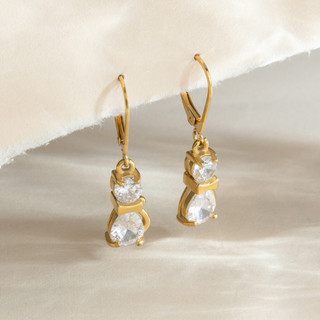 Châu Âu Mỹ ins Phong Cách Mới Bông Tai Mèo Zircon Thép Không Gỉ