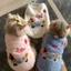 Hàn Quốc Xmas Quần Áo Thú Cưng Mùa Đông Ấm Áp Áo Vest Lông Cừu Có Dây Xích Thêu Dễ Thương Dachshund Chó Mèo Cotton Trang Phục