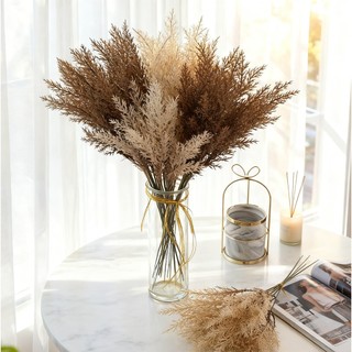 Cỏ Lau Khô Trang Trí Nhà Cửa Bó Sậy Nhân Tạo Decor Bình Hoa Vintage Phong Cách Hàn Quốc Hiện Đại Phụ Kiện Chụp Ảnh Studio Cành Cây Giả Cao 38cm Sang Trọng Bền Đẹp Quà Tặng Handmade DIY Không Rụng Lá Phòng Khách Ban Công Cafe Spa Thẩm Mỹ Viện Tiệc Cưới