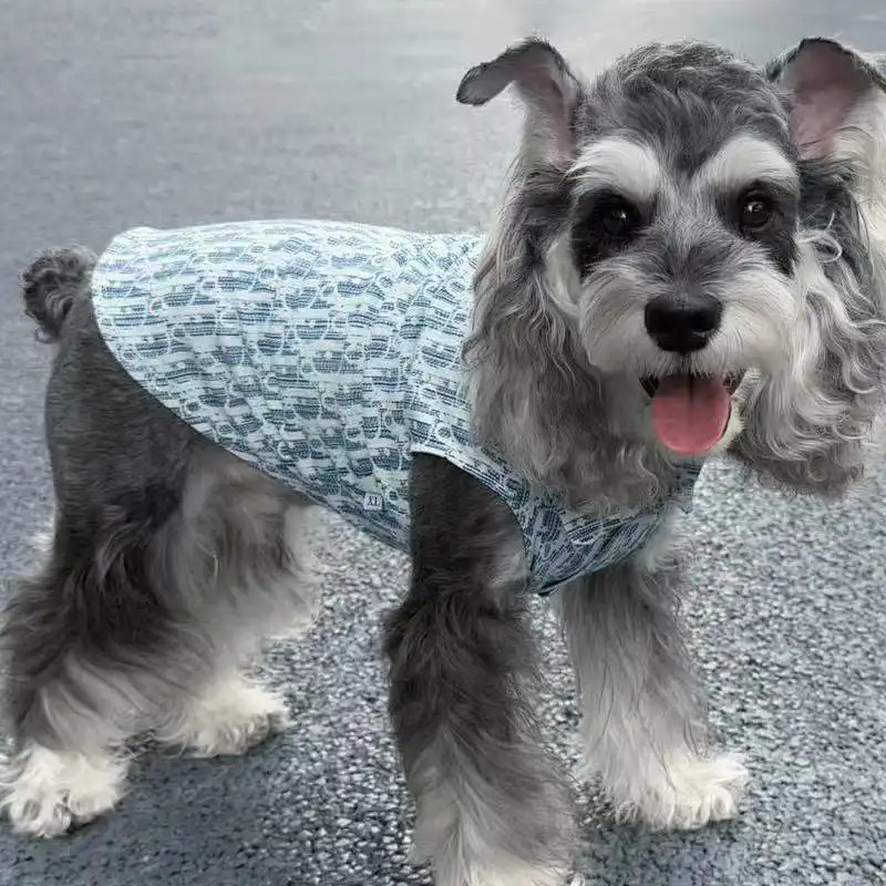 Mùa Thu Đông Thú Cưng Denim Áo Vest Phong Cách Chống Gió Chống Tĩnh Điện Cho Chó Chó Nhỏ Yorkshire