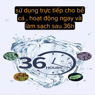 DUNG DỊCH VI SINH BỂ CÁ  Nitrifier (YEE) - vi sinh sinh học giúp thải độc , cải tạo chất lượng nước bể cá