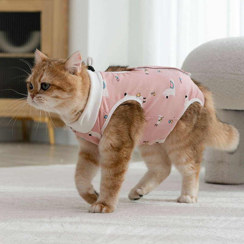 HamshMoc Cat Phẫu Thuật Phù Hợp Với Phục Hồi Cho Sau Spay Bảo Vệ Vết Thương Cổ E Thay Thế Bài Phẫu Thuật Quần Áo Mèo