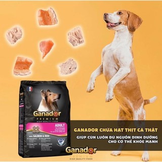 [Bao xá 10kg] - Thức ăn hạt cho chó Ganador - 6 vị