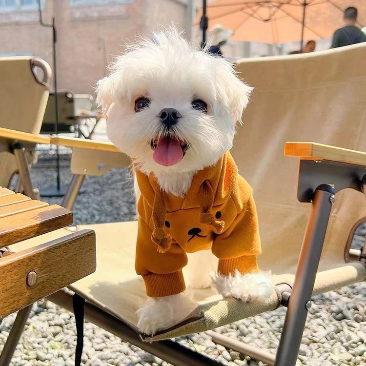 Quần Áo Cho Chó Mùa Thu Đông Lông Cừu-Fleece Tai Quần Áo Chống Lạnh Giữ Ấm T