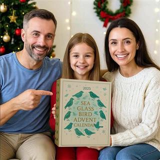 EGN Sea Glass Bird Advent Calendar 2025, Đếm ngược Giáng sinh ven biển 24 ngày với đồ trang trí thủy tinh biển, Trang trí ngày lễ độc đáo & Quà tặng N