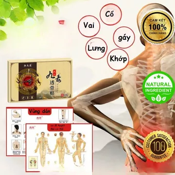 Miếng Dán Giảm Đau Cổ Vai Gáy, Thắt Lưng, Xương Khớp, Giảm Đau Nhanh, An Toàn Gan Thận –Hộp 8 Miếng [J5]