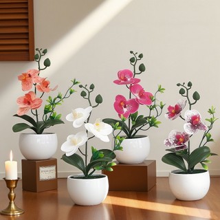Chậu Hoa Lan Hồ Điệp Giả Trang Trí Nhà Cửa Để Bàn Làm Việc Decor Cao Cấp Giống Thật Lụa Phalaenopsis Cây Cảnh Văn Phòng Quà Tặng Sang Trọng Tinh Tế Phụ Kiện Chụp Ảnh Nội Thất Mini Hiện Đại Xinh Xắn Điểm Nhấn Không Gian Ban Công