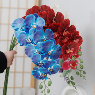 Hoa Lan Hồ Điệp Giả 3D Cao Cấp Cảm Ứng Thật 9 Đầu 98cm Trang Trí Nhà Cửa Phòng Khách Đám Cưới Sang Trọng Lớn Lụa Đẹp Thẩm Mỹ Phụ Kiện Chụp Ảnh Decor DIY Cắm Bình Nội Thất Studio Sự Kiện Backdrop Giống Thật Mềm Mại Bền Màu