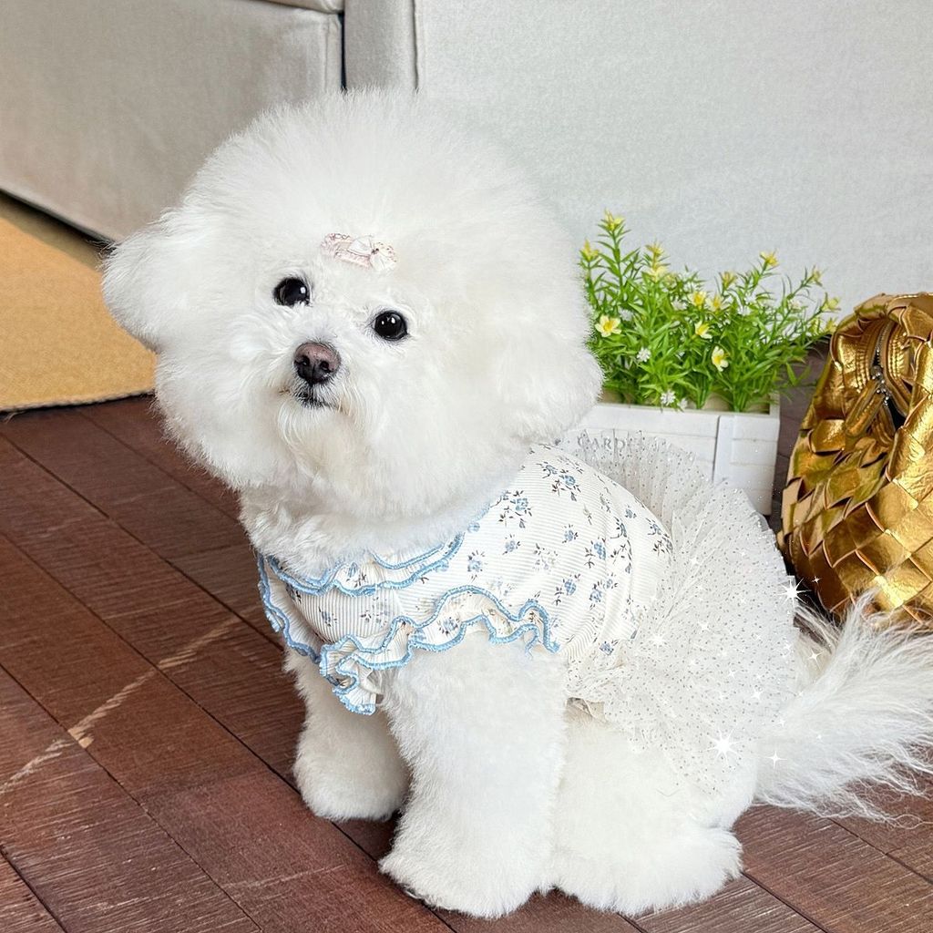 Mùa Hè Thú Cưng Quần Áo Chó In Hình Nhà Quần Áo Mỏng Băng Lụa Phù Hợp Với Teddy Bichon Mèo Quần Áo