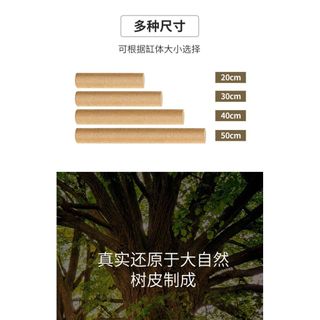 Gậy leo núi cho bò sát Cấu trúc leo núi chống trượt cho thằn lằn, tắc kè và ếch cây