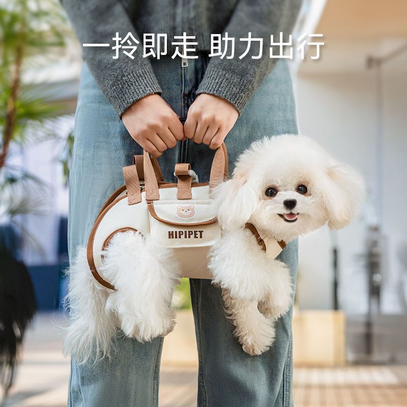Túi đi chơi thú cưng Túi tiện lợi cho chó nhỏ Túi đeo vai mèo có thể đeo chéo Túi dây đeo hoạt hình di động