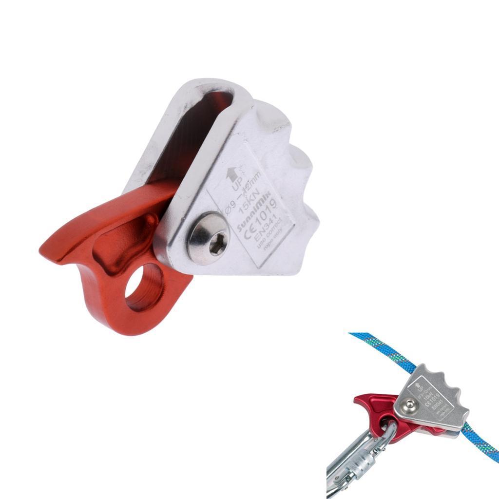 Dây Leo Núi Bảo Hộ Grab Protecta 9-12mm, Dùng Ngoài Trời
