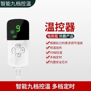 Giá thấp Spike Chăn điện Công tắc điều khiển nhiệt độ Đơn điều khiển đôi Chăn điện Bộ điều khiển nhiệt độ thông minh Gói nóng Gói muối Điều chỉnh nhiệt độ Công tắc hẹn giờ