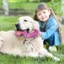 Top Dog Chew Proof Puppies Đồ chơi màu sắc tươi sáng khuyến khích chơi và răng