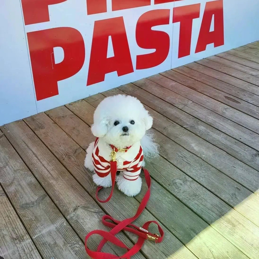 Chó Nhỏ Teddy Áo Len Mùa Đông Mặc Giáng Sinh Bichon Quần Áo Thú Cưng Ấm Áp Phong Cách Dệt Kim