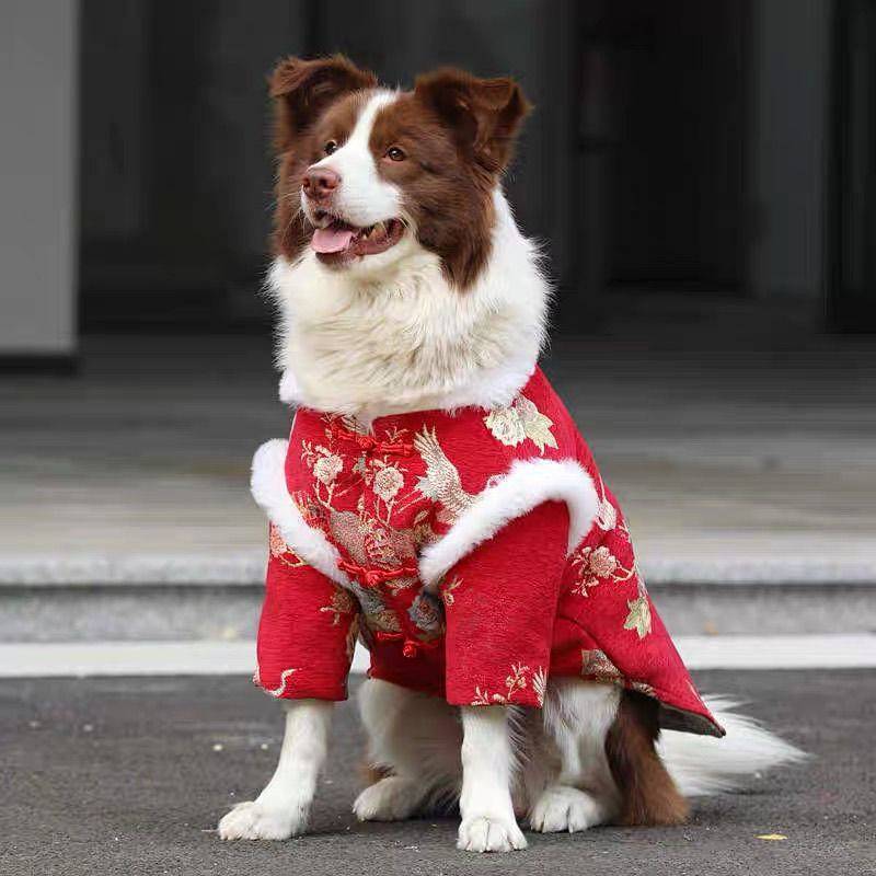 【Ready Stock】 Dog Chinese New Year Clothes Medium Large Dog Golden Retriever Samo Border Collie Thickened Warm Elbow Pad Cotton-Padded Clothes Festive New Year Celebration Tang Suit ANXY