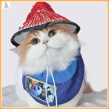 Quần áo thú cưng / bộ trang phục thú buồn cười / quần áo mèo và chó / quần áo thú cung điện thời trang / áo chụp ảnh mèo và chó / vật dụng cưng