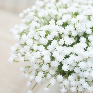 Hoa Giả Baby Trắng Decor Trang Trí Nhà Cửa Chụp Ảnh Đám Cưới Bó Cành Nhỏ Phụ Kiện Nội Thất Phòng Khách Ngủ Để Bàn Bình Lọ Giỏ Tre Quà Tặng Đẹp Rẻ Bền Gypsophila Silk Plastic Mini Wedding Party Events Props Aesthetic DIY Bouquet Natural Look