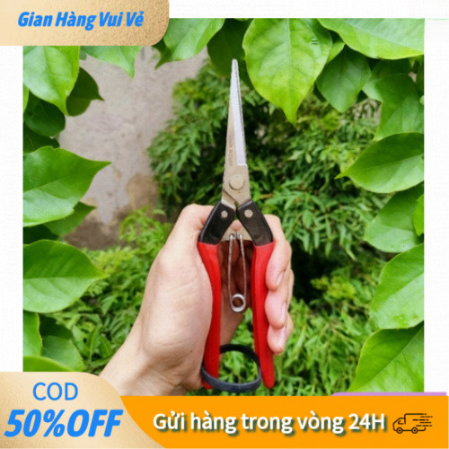 【COD】Kéo cắt cành Nhật Bản đa năng với kéo mũi nhọn chuyên tỉa lá, thu hoạch hoa quả và cắt bonsai hiệu quả