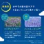 Face Mask LuLuLun One Night Rescue Transparency One Night R 4K 35mL × 5 packets UV Protection, Exfoliation- Direct from Japan